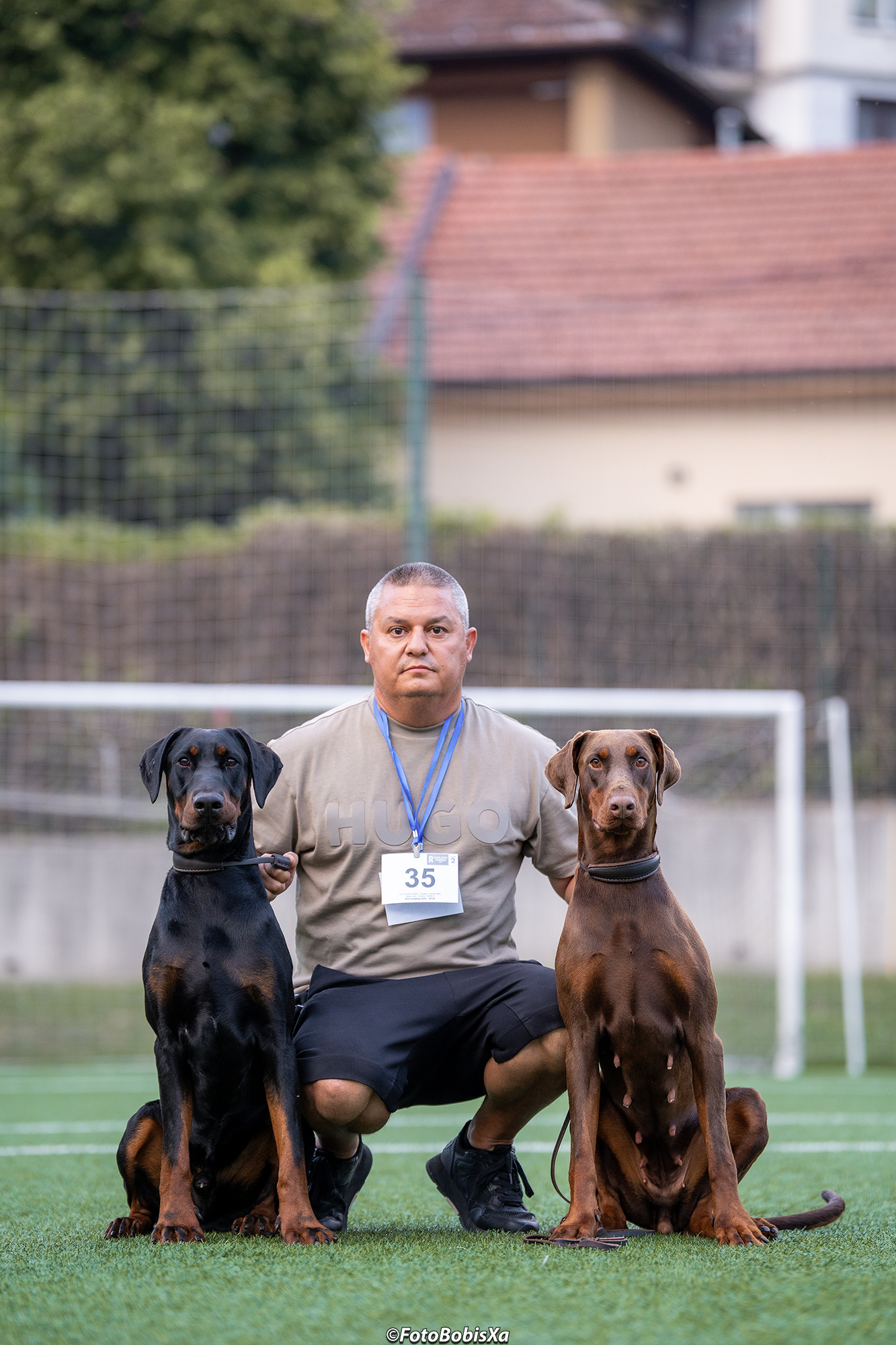 Doberman – DIMITROV PUR LINE OF BULGARIA