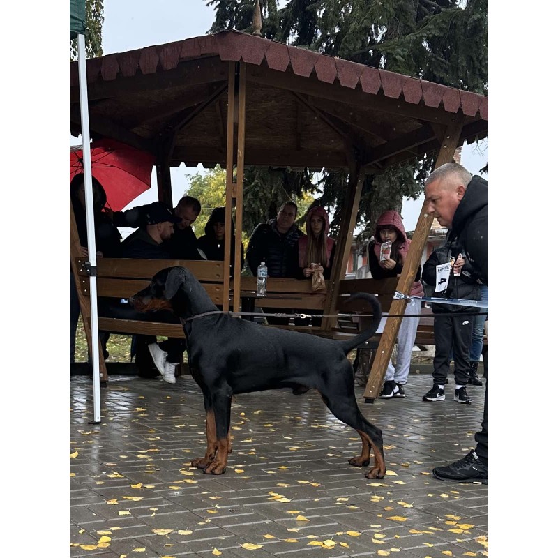 Детройт