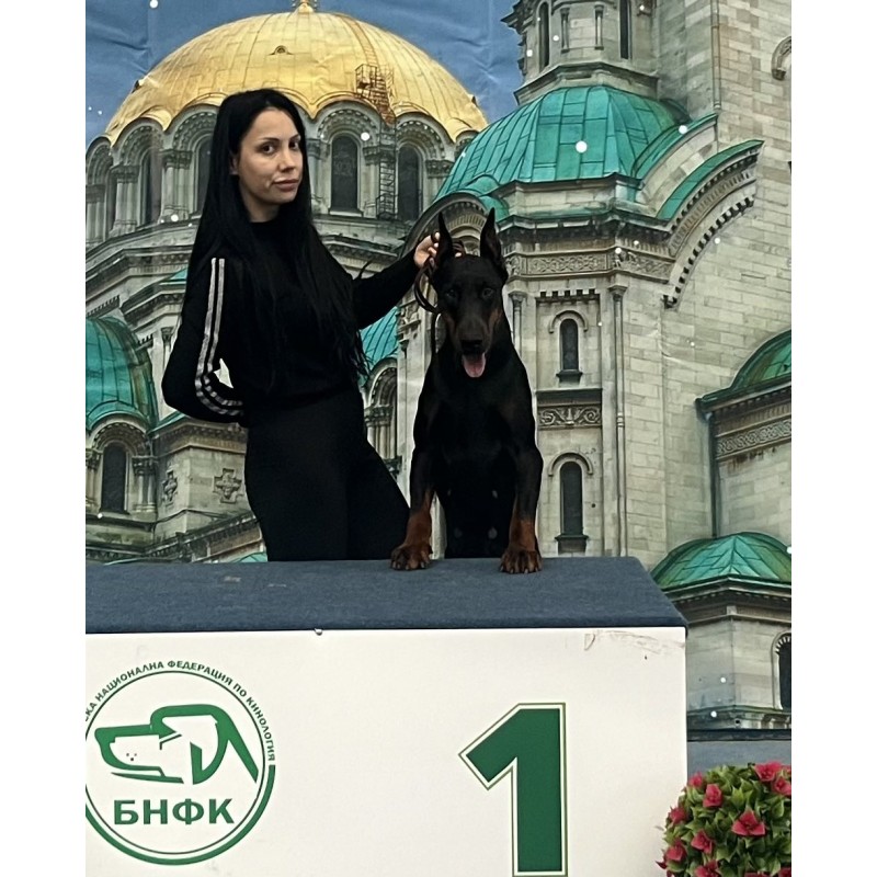 Франсис