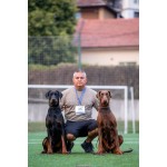 Пандора - 3 г.