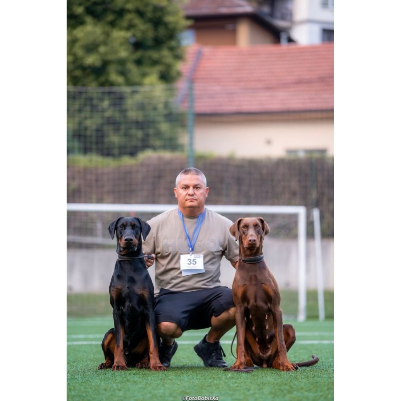 Пандора - 3 г.